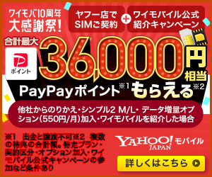 ワイモバイル36000