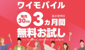 ワイモバイル3か月無料お試しトライアルSIMの概要＆公式バナー